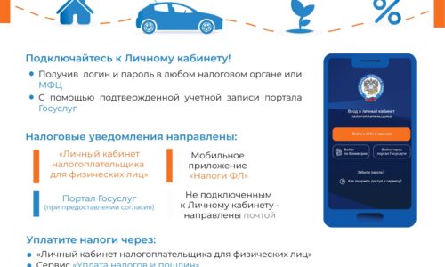 Срок уплаты налогов 1 декабря